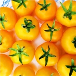 Помидоры Сербская Тыквочка Бундивиче — Bundevice Tomato (10 семян)
