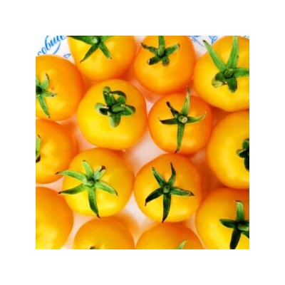Помидоры Сербская Тыквочка Бундивиче — Bundevice Tomato (10 семян)