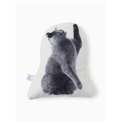Подушка декоративная «Этель» Playful cat, 40×33 см, велюр