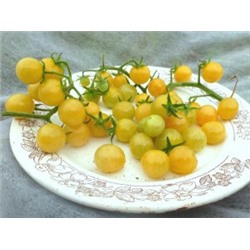 Помидоры Snow White Cherry — Белые Черри (10 семян)