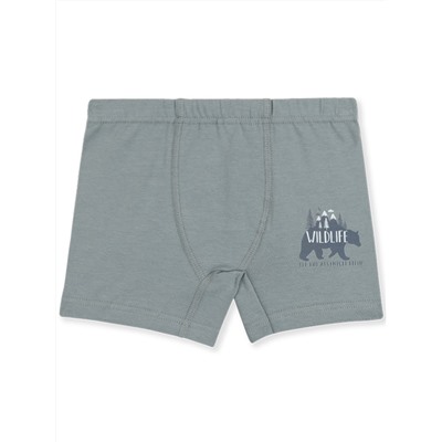 3554 Боксеры для мальчиков многоцвет (BAYKAR)