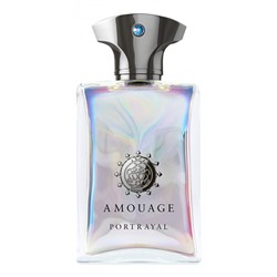 AMOUAGE PORTRAYAL edp (m) 100ml TESTER