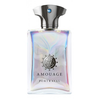AMOUAGE PORTRAYAL edp (m) 100ml TESTER