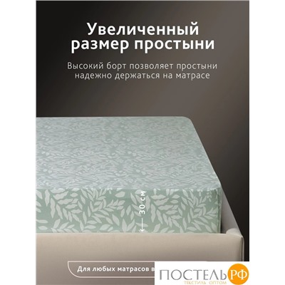 CASSIA ЭМИНЕ Простыня на резинке 160х200+30, 1 пр., хл./сатин зеленый