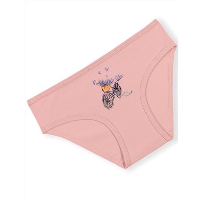 5842 Трусы для девочек многоцвет (BAYKAR)