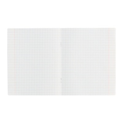 Комплект тетрадей из 10 штук, 12 листов в клетку Calligrata «Однотонная Классика яркая», обложка мелованная бумага, ВД-лак, блок офсет, 5 видов по 2 штуки