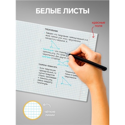 Наабор тетрадей, 48 листов в клетку, Calligrata «Кактус», 5 штук