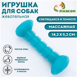 Жевательная игрушка для собак "Палка", светящаяся, массажная, 14,2 х 5,2 см, голубая