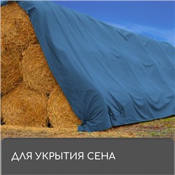 Тент защитный, 3×2 м, плотность 60 г/м², УФ, люверсы шаг 1 м, синий