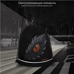OM-51-112 Мешок для обуви