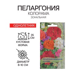 Семена цветов Пеларгония зональная "Колорама" 0,05 г