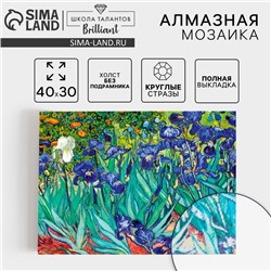 Алмазная мозаика с полным заполнением на холсте «Ирисы», 30 х 40 см