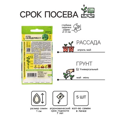 Семена Огурец "Селедочка", F1, Сем. Алт, ц/п, 5 шт