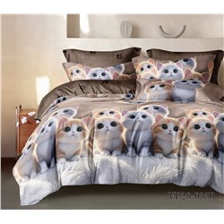 Постельное белье из поплина cтандарт ПВ28-1450