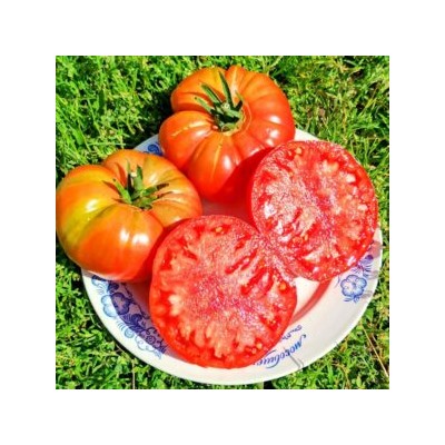 Пурпурные Помидоры Тётушки Джини из Старой Германии — Aunt Ginny’s Purple Tomato (10 семян)