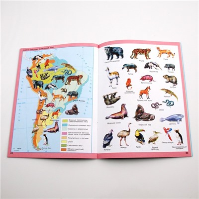 Учебник «География», приложение, 8 класс, Лифанова Т.М.