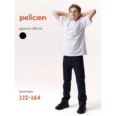 PELICAN Брюки BWP7124