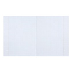 Набор тетрадей 48 листов в клетку Calligrata «Аниме», обложка мелованный картон, 5 шт.