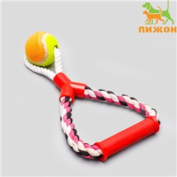 Игрушка тренировочная канатная "Качель с мячом", до 160 г, до 27 см, микс цветов