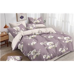 Постельное белье из поплина cтандарт П-2477