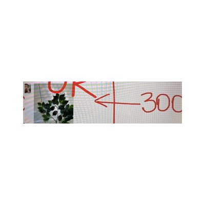 Зелень искусственная 55 см Фикус / N715-803 /уп 12/300/ветка