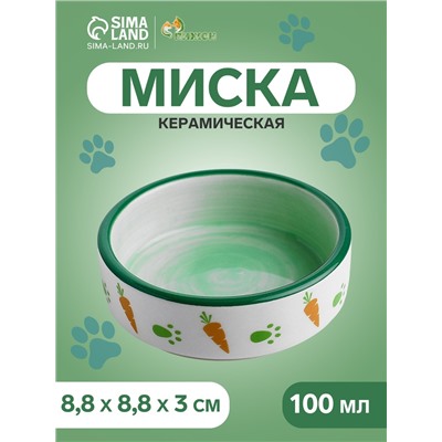 Миска керамическая с морковками 100 мл  8,8 х 8,8 х 3 см, белая/зелёная