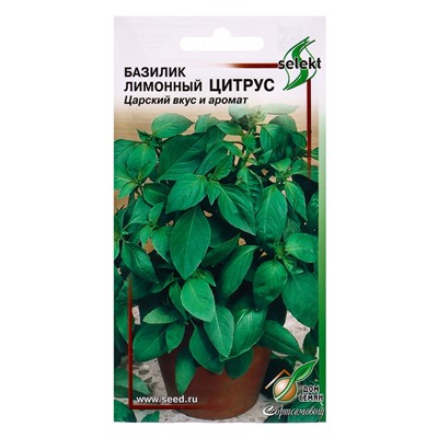 Семена Базилик Лимонный Цитрус 130 шт.