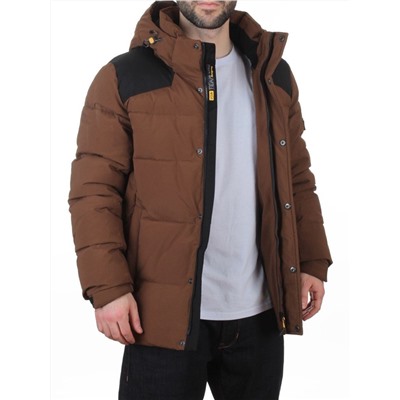 D6263 BROWN Куртка мужская зимняя (200 гр. холлофайбер)