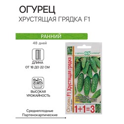 Семена Огурец "Хрустящая грядка F1", серия 1+1, пикуль, 20 шт