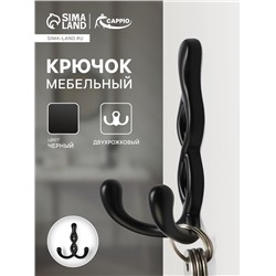 Крючок мебельный CAPPIO PIGTAIL, двухрожковый, цвет черный