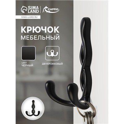 Крючок мебельный CAPPIO PIGTAIL, двухрожковый, цвет черный