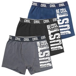 3051 Боксеры для мальчика многоцвет (BAYKAR)