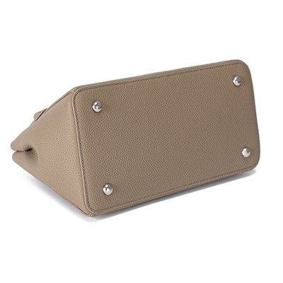 DOLAND LION  Сумка женская  / кожа /   343