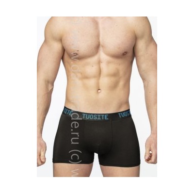 TS7801-2 Трусы мужские Дроп Tousite боксеры