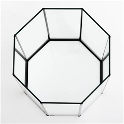 Аквариум «Восьмигранный» с крышкой, 24 литра, 25×25×45/50 см, чёрный