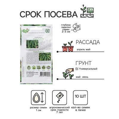Семена Огурец "Углич", F1, 10 шт. + "Устюг", F1, 10 шт.