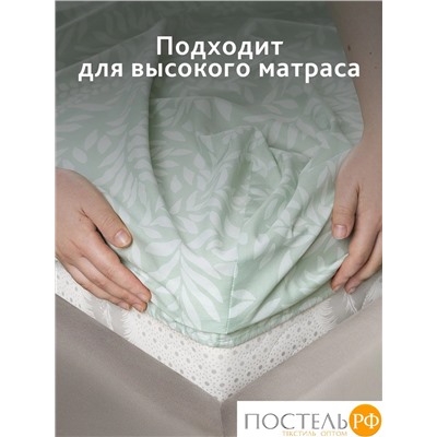 CASSIA ЭМИНЕ Простыня на резинке 160х200+30, 1 пр., хл./сатин зеленый