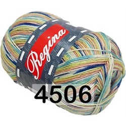 Пряжа Сеам Regina Print