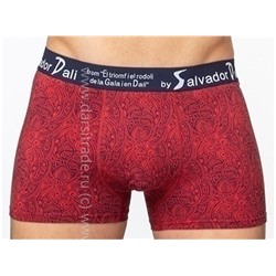 SD2055-3 Трусы мужские Salvador Dali боксеры