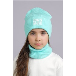 Шапка 1042525