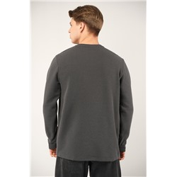 Мужской лонгслив на пуговицах Happyfox