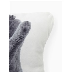 Подушка декоративная «Этель» Playful cat, 40×33 см, велюр
