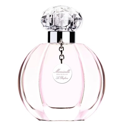 MORRIS MORRISELLE POUR ELLE edt (w) 100ml TESTER