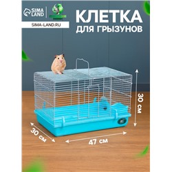 Клетка для грызунов «Пижон», 47×30×30 см, голубая