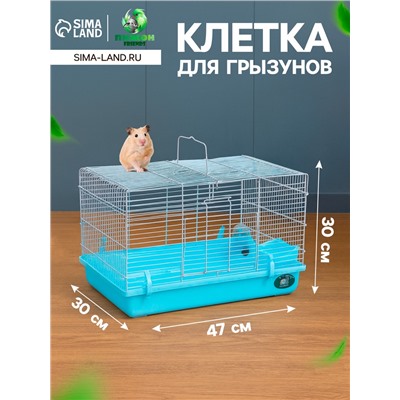 Клетка для грызунов «Пижон», 47×30×30 см, голубая