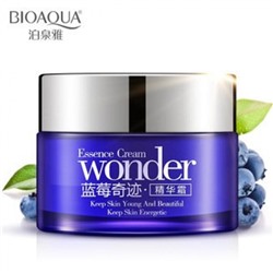 КРЕМ ДЛЯ ЛИЦА BIOAQUA С ЭКСТРАКТОМ ЧЕРНИКИ  BIOAQUA, 50 ГР.