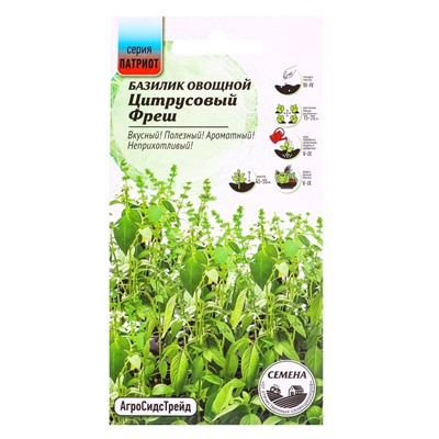 Семена Базилик «Цитрусовый фреш», 0.25 г, «АгроСидсТрейд»