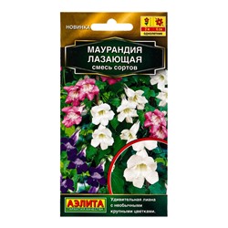 Семена цветов Маурандия лазающая, смесь сортов  Золотая серия, Ц/П,5 шт.