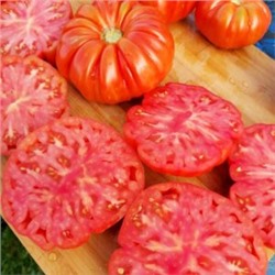 Помидоры Марманд от Мадам Гарньер из Парижа — MARMANDE GARNIER Tomatoes (10 семян)