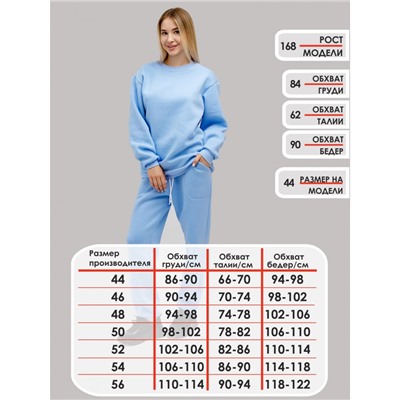 Брюки женские из футера с начёсом ФБ1508 голубой